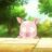 Accel World : 1.Sezon 8.Bölüm izle