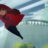 Carmen Sandiego : 2.Sezon 5.Bölüm izle