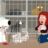 Family Guy : 7.Sezon 6.Bölüm izle