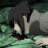 Naruto Shippden : 20.Sezon 449.Bölüm izle