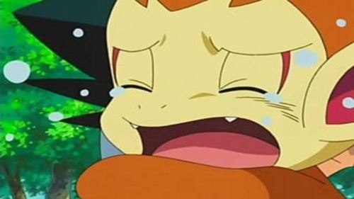 Pokemon : 11.Sezon 2.Bölüm