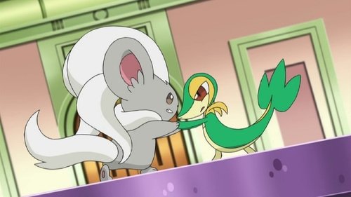 Pokemon : 16.Sezon 30.Bölüm