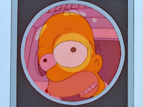 The Simpsons : 13.Sezon 10.Bölüm