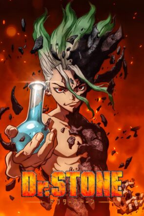 Dr. STONE