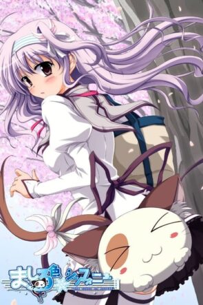 Mashiroiro Symphony The Color of Lovers