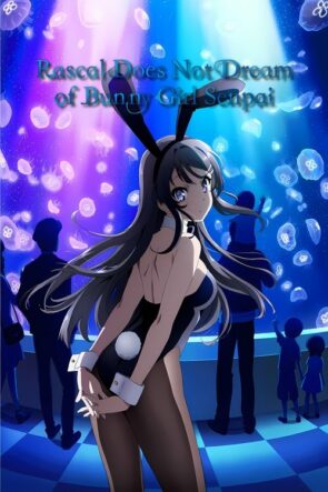 Rascal Does Not Dream of Bunny Girl Senpai