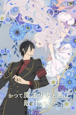 The Magical Girl and the Evil Lieutenant Used to Be Archenemies