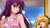 Samurai Harem izle