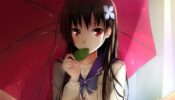 Sankarea Undying Love izle